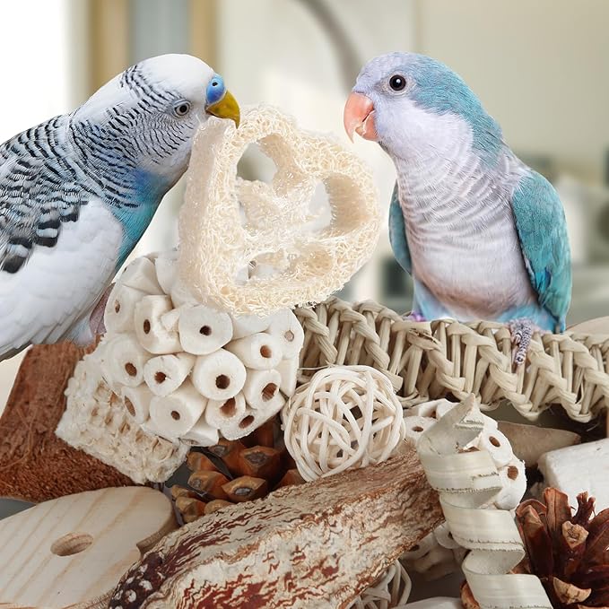 Kyouki Bird Toys Parrot Toys Natural Bird Foraging Box Foot - Image 7
