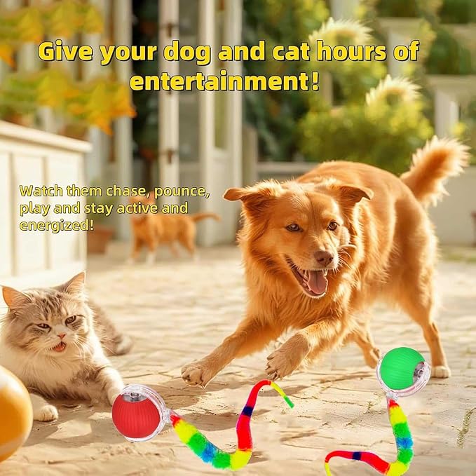 2 PCS Interactive Cat Toy Rolling Ball Chewie Viral Dog Ball - Image 8
