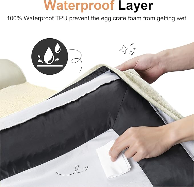 Small Dog Bed Orthopedic Washable: Beds Bolster Small Sized Dogs Cats Bed Egg - Image 4