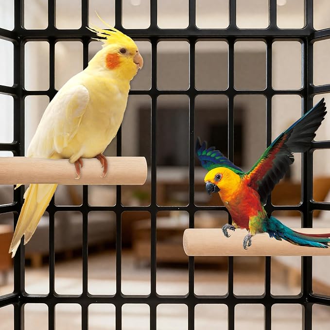 Bird Perch Wooden Parrot Perchs Stand, Small Parakeets - Image 6