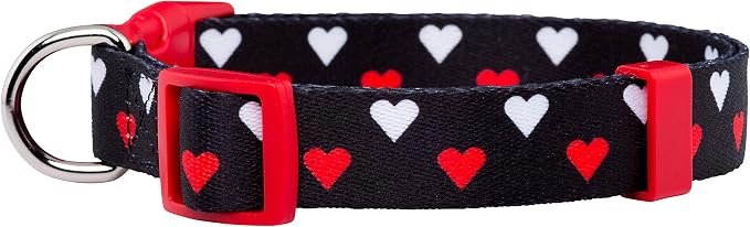 Native Pup Valentine Dog Collar - Image 2