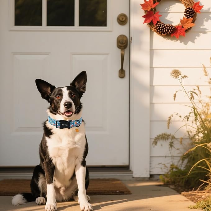 DOGWONG Fall Maple Dog Collar- Cute Classic Fall Autumn Flower Dog Collars - Image 4