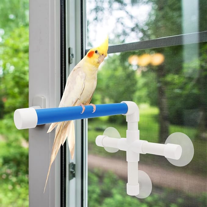 Hypeety Pet Parrot Bath Perches Rack Suction Cup Bird Window and Shower Perch - Image 5