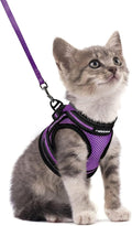 rabbitgoo Cat Harness and Leash Set by rabbitgoo