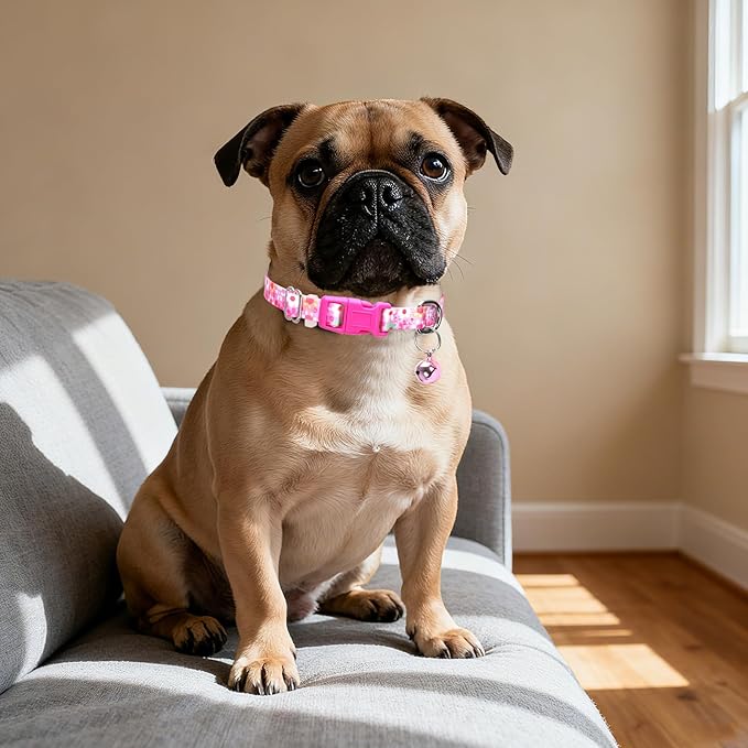 Small Dog Collar with Bell，Nylon - Image 6