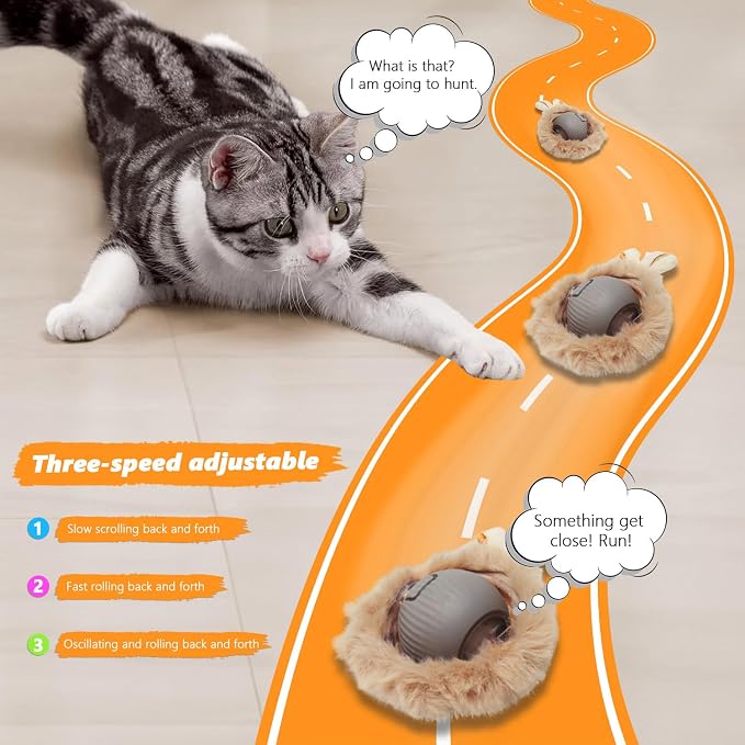 Cat Toys 24 PCS, Interactive Cats Toys - Image 3
