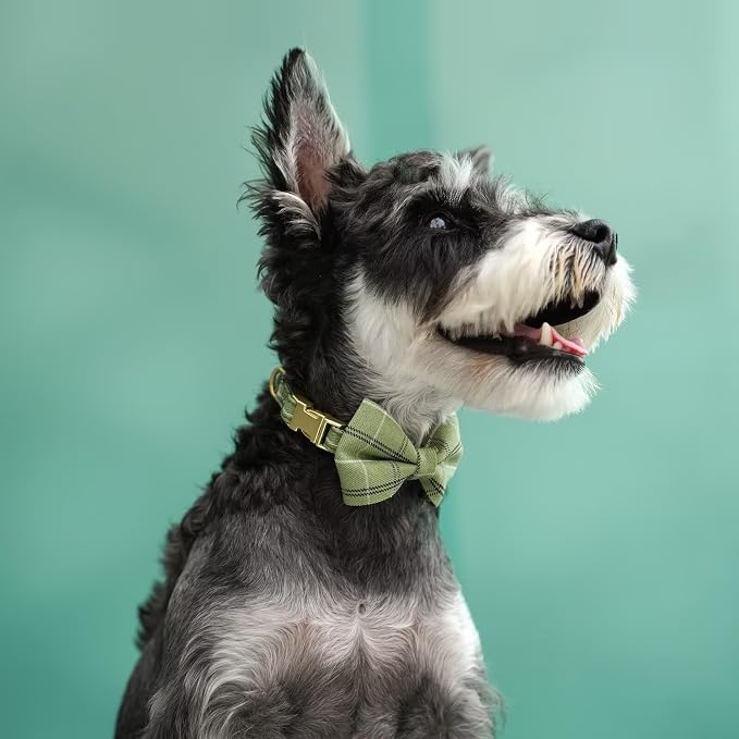 Beirui Cute Extra Small Dog Harness Collar and Leash Set - Image 5