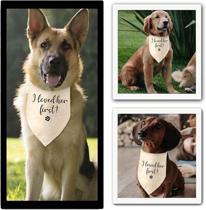 Engagement Gifts I Loved her First! Dog Bandana Pet Scarf Wedding Photo Prop - Image 5