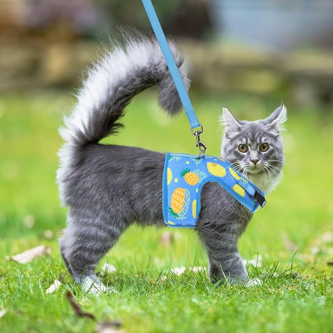 PUPTECK Soft Mesh Cat Vest Harness and Leash Set Puppy Padded Pet Harnesses - Image 6