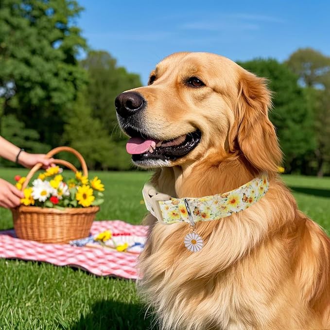 Adjustable Floral Dog Collar, Lightweight Quick-Release Buckle Collar - Image 3
