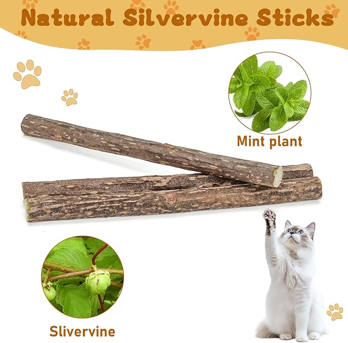 Silvervine Sticks for Cats, Natural Catnip Matatabi Chew Sticks Teeth Molar - Image 6