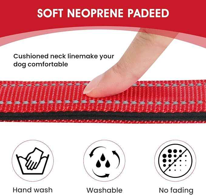 Reflective Dog Collar Padded