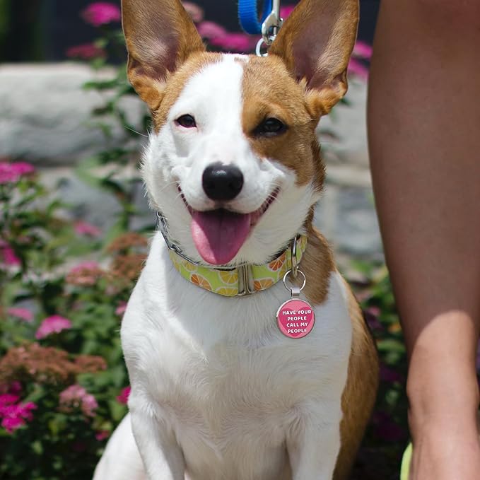 MYLUCKYTAG QR Code Pet ID | Personalized Dog & Cat Collar Tag | Online Profile - Image 4