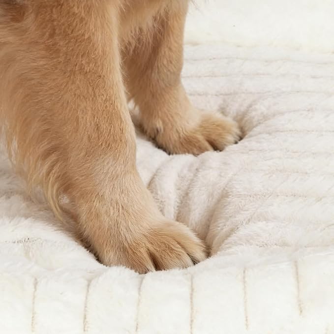 Washable Dog Bed for Medium Dogs – Soft Plush Calming Puppy Bed - Image 9