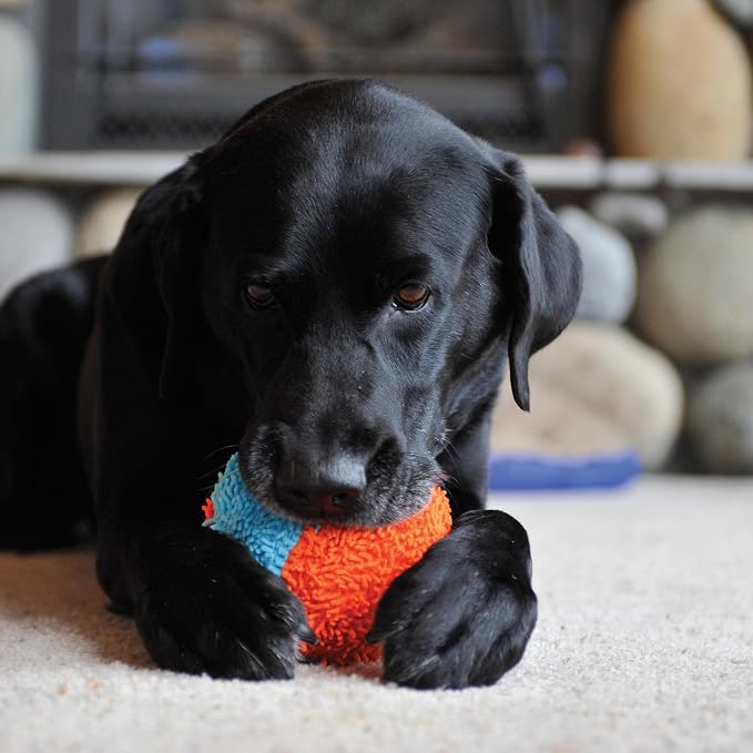 Chuckit! Indoor Fetch Shaker for Dogs - Image 3