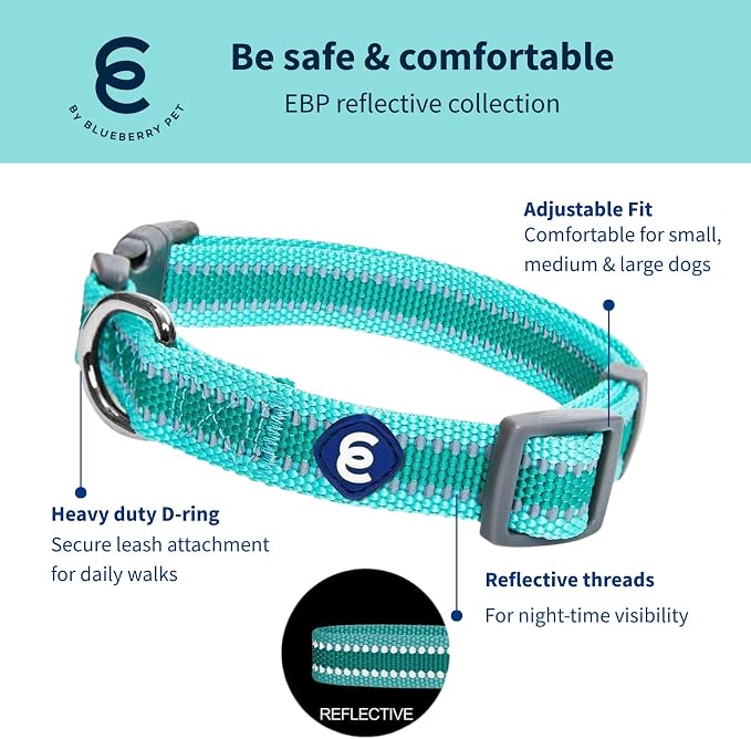 Blueberry Pet Essentials Matching Small Dog Collar | Adjustable Classic Solid - Image 2