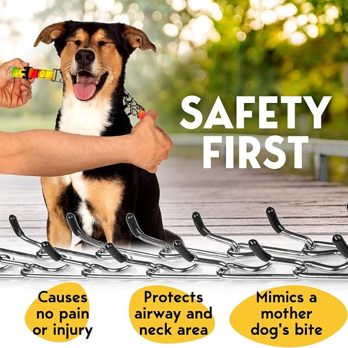 PetJett Prong Collar for Dogs - Image 3