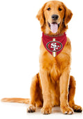 Littlearth NFL Denver Broncos Pet Bandana by Littlearth
