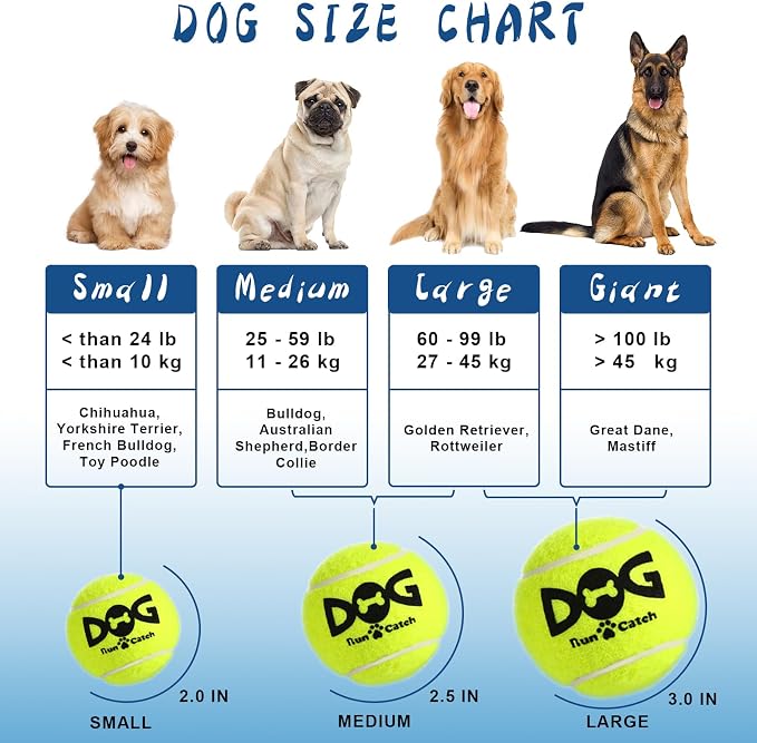 Large Squeaky Tennis Balls for Dogs - Image 7