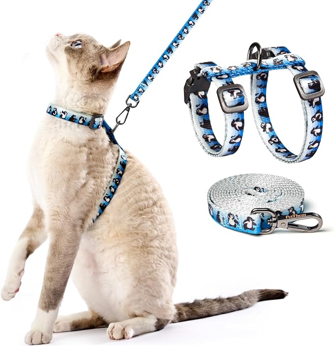 Cat Harness and Leash Set by PetThem