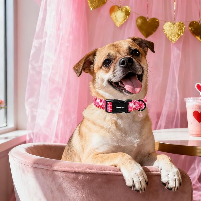 DOGWONG Valentine Dog Collar, Girl Female Dog Collars - Image 5