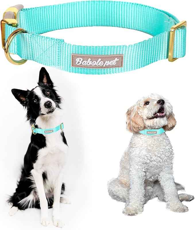 Nylon Dog Collar