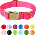 Nylon Dog Collar by Babolepet
