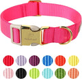 Nylon Dog Collar by Babolepet