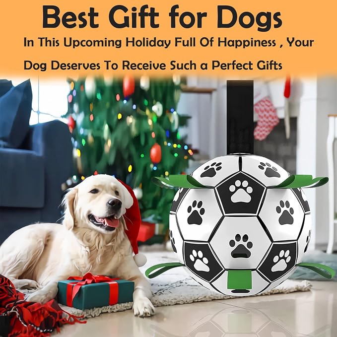 Dog Soccer Ball, Interactive Toys - Image 6