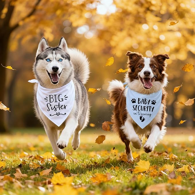 Big Sister&Baby Security in Training Dog Bandana, Dog Bandanas - Image 6