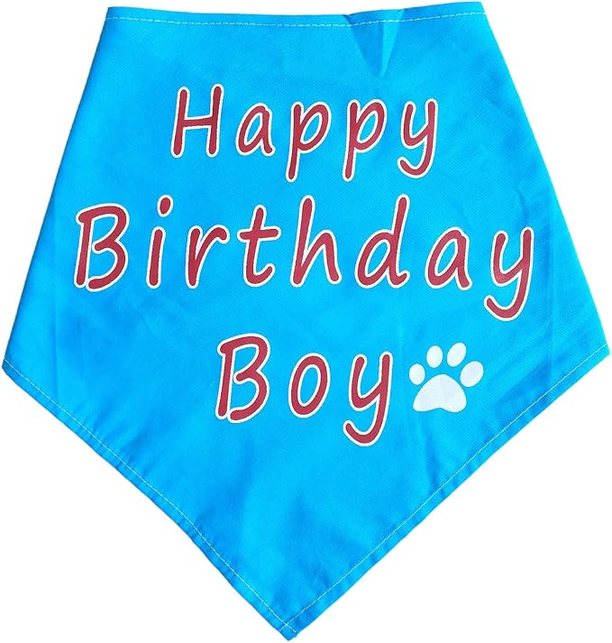 PET SHOW Blue Crown Dog Birthday Party Hat - Image 3