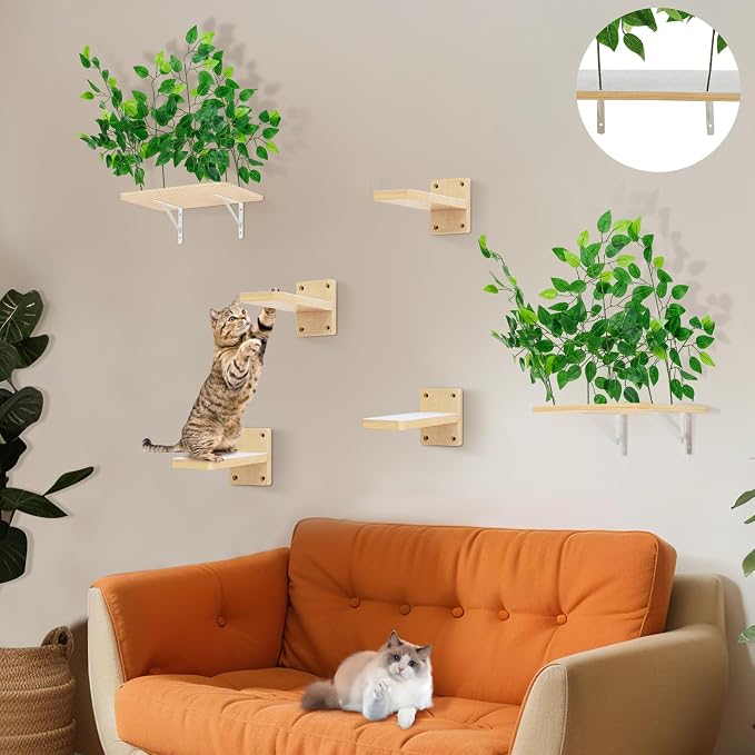 Cat Wall Shelves with 4 Steps and Perches - Image 4