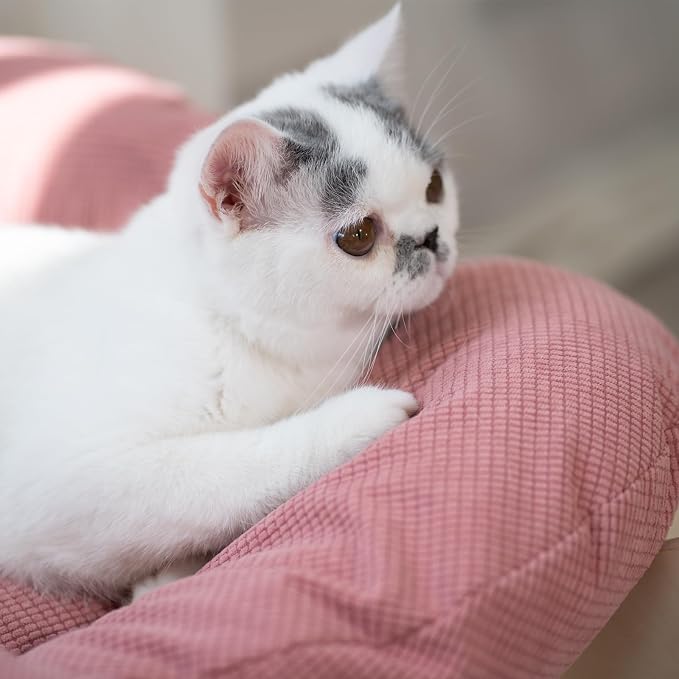 CHEERHOME PETS Elevated Cat Bed Wooden - Image 7