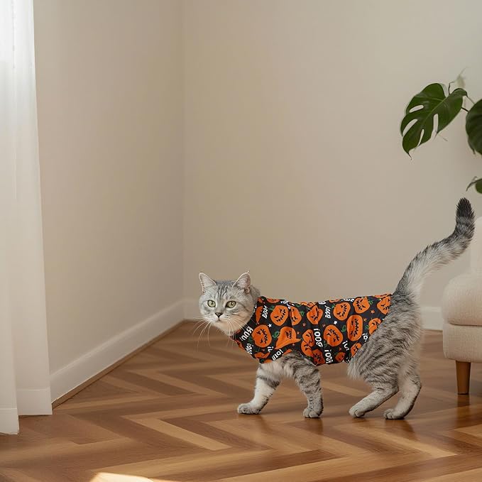 EXPAWLORER Cat Halloween Sweater - Image 6