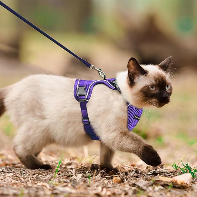 Cat Harness and Leash Set for Walking Escape Proof, Improved Four Place - Image 5