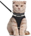 rabbitgoo Cat Harness and Leash Set by rabbitgoo