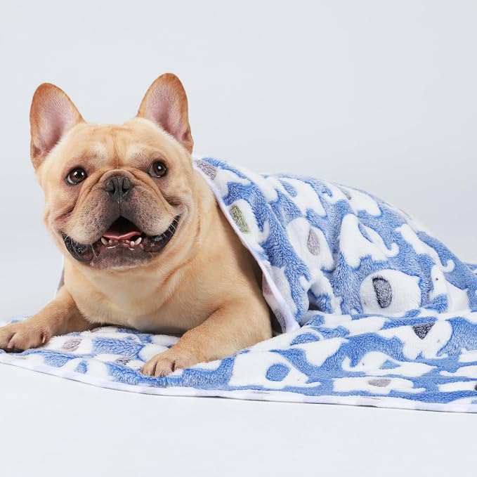 1 Pack 3 Blankets Super Soft Fluffy Premium Cute Elephant Pattern Pet Blanket - Image 5