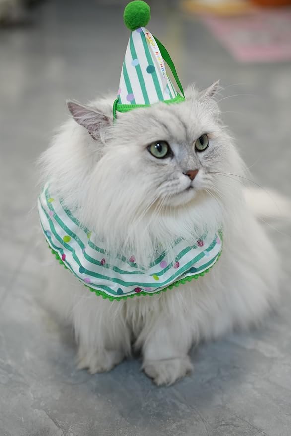 Cat Dog Birthday Bandana Scarf and Party Hat Cute Polka dot and Stripe Bib - Image 4