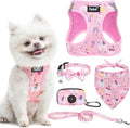 PUPTECK Adjustable Dog Harness Collar and Leash Set, Step in No Pull Pet Harness by PUPTECK