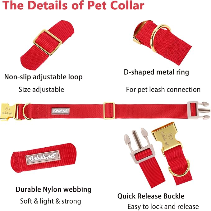Nylon Dog Collar - Image 4