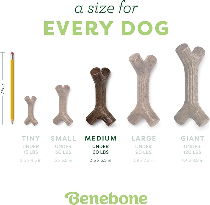 Benebone Bacon Stick Durable Dog Chew Toy - Image 4