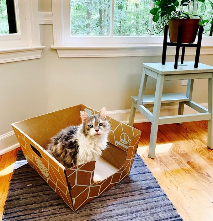 Cats Desire Disposable Litter Box No Plastic Solution w/ Low Entry & Enclosed - Image 2
