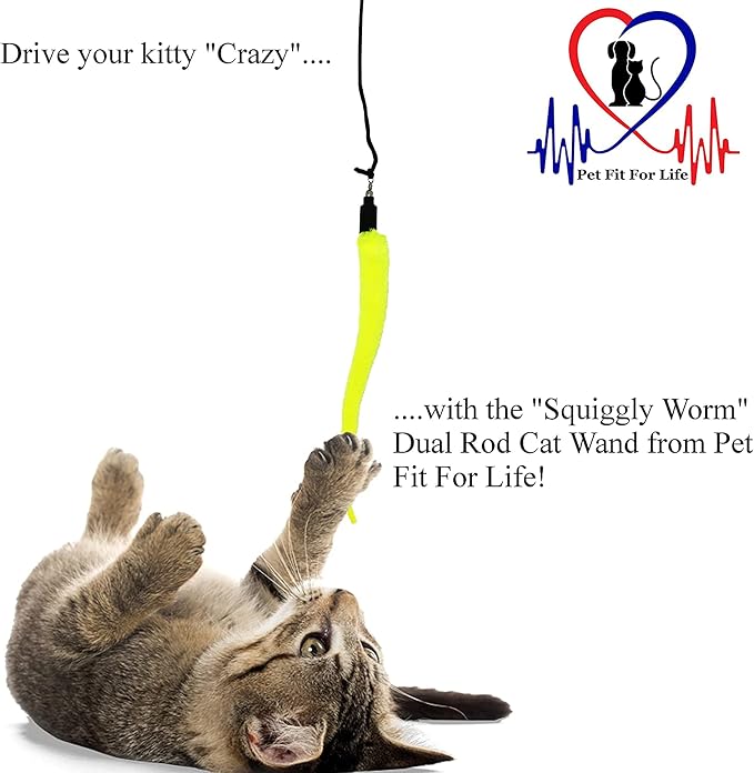 Pet Fit For Life Cat Wand Toy: 5-Piece Worm Teaser & Exerciser - Image 4