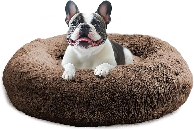 JOLLYVOGUE Calming Dog Bed for Small Dogs by JOLLYVOGUE
