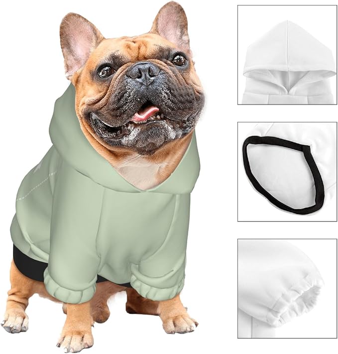 Personalized Chihuahua Dog Hoodie, Custom Pet Warm Sweatshirt Costume - Image 3