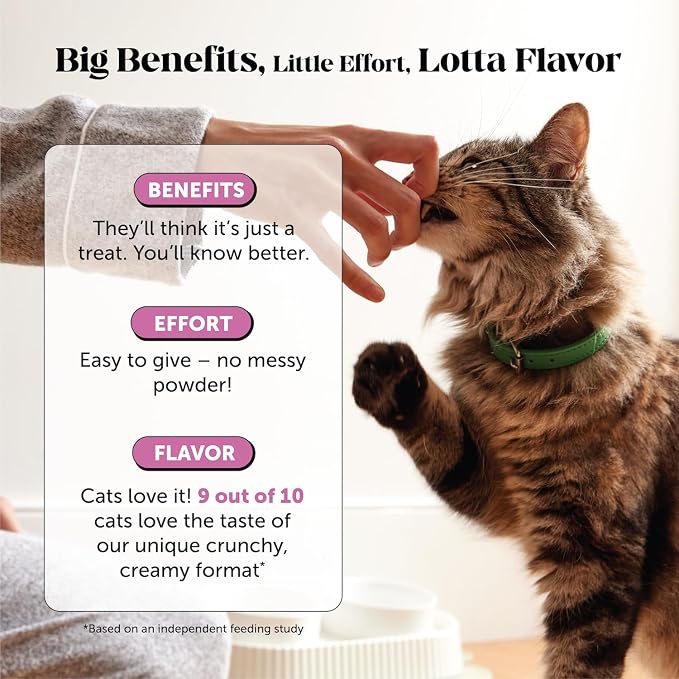 Cat Multivitamin Chews - Image 6