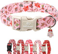 Christmas Dog Collar by Babolepet
