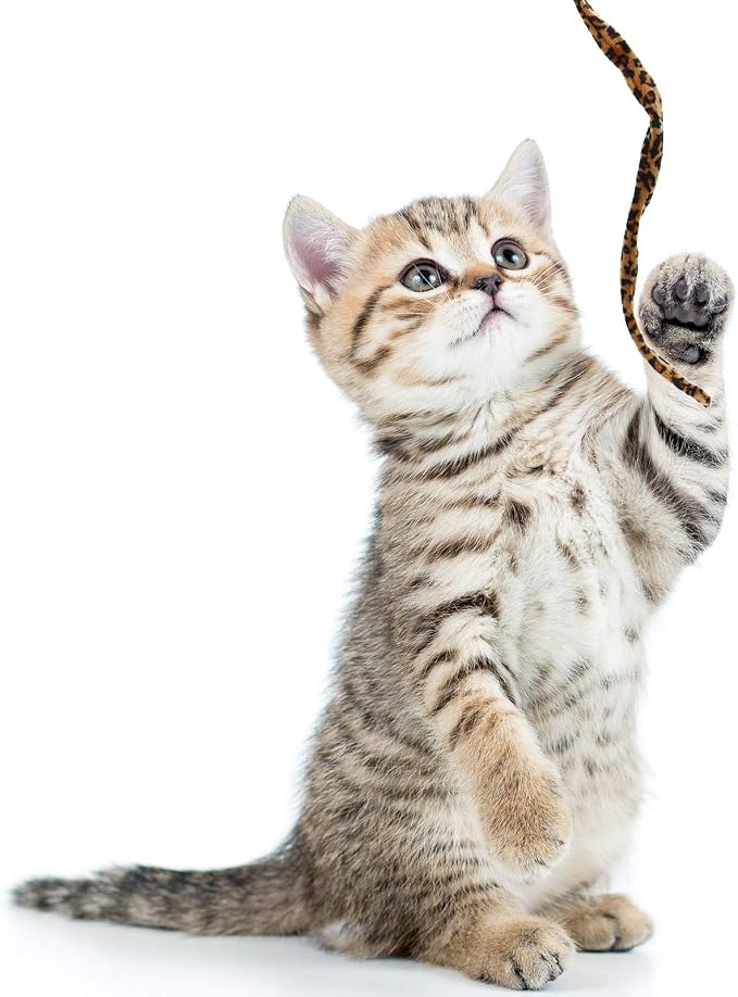 Sumind 3 Pieces Jungle Cat Wand Cat Teaser Charmer Interactive Fun Toys Wand - Image 7
