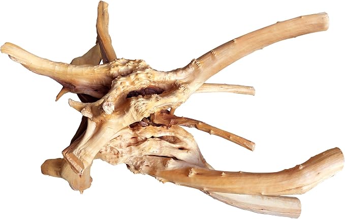 majoywoo Natural Large Driftwood by Majoywoo