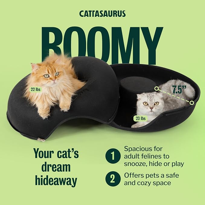 Cattasaurus Peekaboo Cat Cave Donut - Image 4